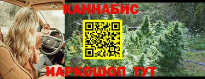 spice Майкоп